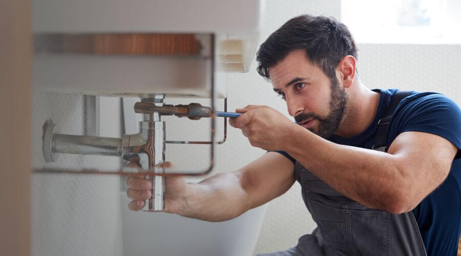 Trap Repair/Replacement in Byron, MI